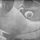 Illustration for article titled Fable II, Banjo Kazooie Sales Are Chalk & Cheese